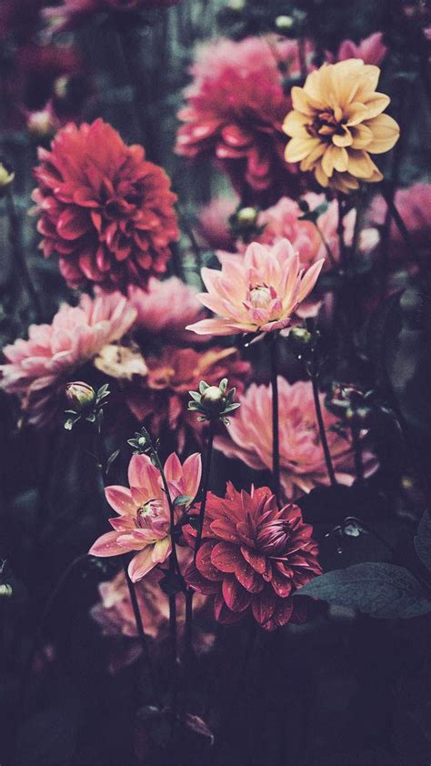 21 pretty wallpapers for your new iphone xs max floralove blumen hintergrund iphone