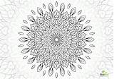 Flower Complicated sketch template