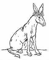 Esel Donkey Coloring Ane Ausmalbild Kostenlos sketch template