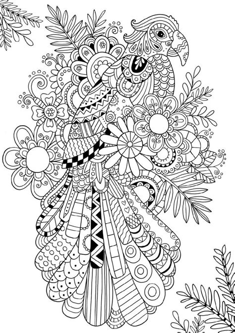 bird coloring pages   print  coloring