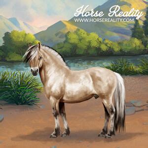 fjord horse horse reality wiki