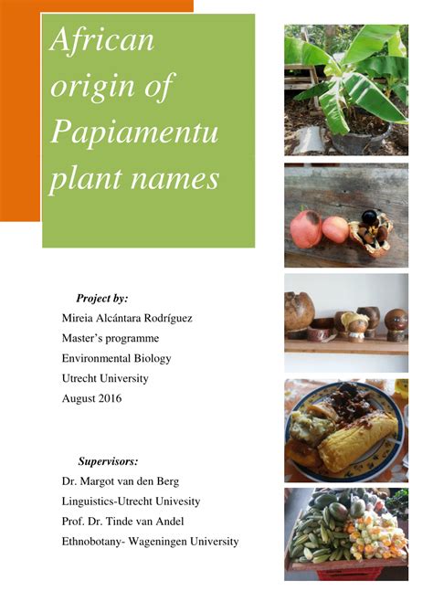 african origin  papiamentu plant names