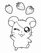 Coloring Hamtaro Pages Kids การ Printable เข ชม sketch template
