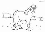 Fohlen Pferd Zaun sketch template