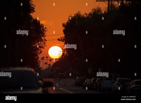 full sun  res stock photography  images alamy