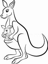 Kangaroo Indiaparenting sketch template