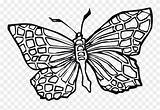 Butterfly Coloring Pages Girls Clipart Transparency Book Pinclipart Report sketch template