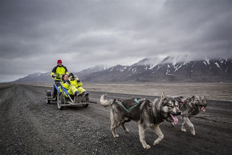 Summer Dog Sledding | Day trips Longyearbyen | Spitsbergen