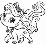 Coloring Pages Puppy Cute Princess Pets Pomeranian Dog Kids Duke Palace Disney Printable Color Pet Getcolorings Print Market Animals Colouring sketch template
