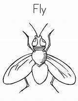 Insecte Hoagie Sketch sketch template