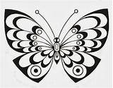 Coloring Butterfly sketch template