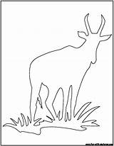 Outline Coloring Outlines African Waterbuck Pages Animal Fun Rhino Colouring Printable sketch template