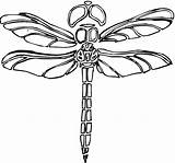 Dragonfly Dragonflies Coloringme sketch template