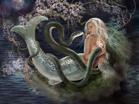 mermaid wallpaper  background  id