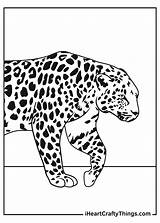 Leopards Iheartcraftythings sketch template