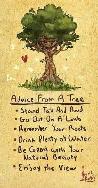 advice from a tree stand tall and proud go out on a limb