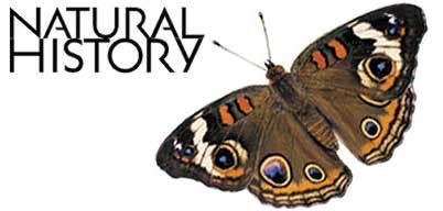 natural history magazine