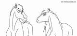 Spirit Stallion Cimarron Lineart Herd Orb sketch template