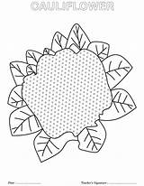Coloring Cauliflower sketch template