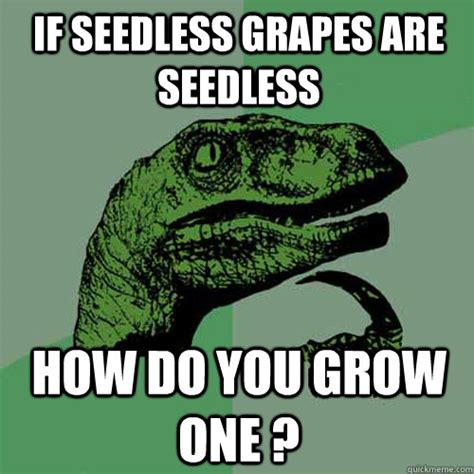 seedless grapes  seedless    grow  philosoraptor