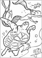 Coloring Pages Colouring Mermaid Book Color Dover Publications Mermaids Turtle Kids Horse Doverpublications School Welcome Lineart Merm Choose Board Fantasy sketch template