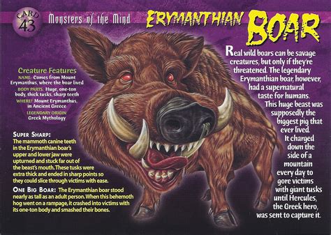 erymanthian boar weird  wild creatures wiki fandom