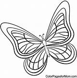 Coloring Butterfly Pages Colouring Colorpagesformom Color Background Vector Drawing Print sketch template