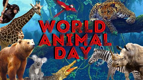 world animal day  october worldanimalday saveanimals youtube