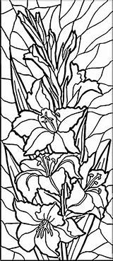 Stained Glass Coloring Pages Lilies Printable Patterns Window Painting Color Glas Flowers Easy Colouring Sheets Windows Flower Easter Lily Designs sketch template