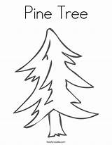 Pine Tree Coloring Popular sketch template