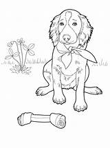 Dog Pages Hard Coloring Template sketch template
