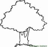 Tree Mango Clipart Coloring Pages Trees Colouring Treee Set Treehut Views Cliparts Swati Friday Categories September Pm Posted 2010 sketch template