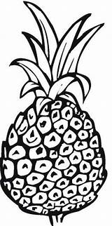 Pineapple Coloring Pages Print Printable Kids Outline Drawing Template Getdrawings sketch template