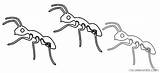 Coloring Marching Ants Come Coloring4free Ant Related Posts sketch template