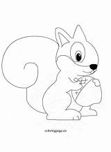 Squirrel Coloringpage sketch template