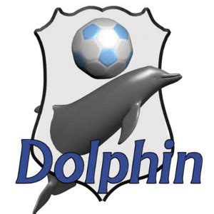 logos pictures dolphins logo