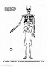 Skeleton Coloring Pages Printable sketch template