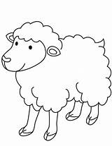 Sheep Coloring Pages Categories sketch template