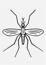 Mosquito Dengue Transmissor sketch template
