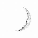 Moon Crescent Drawing Tattoo Half Tattoos Face Pencil Moons Google Cresent Luna Drawings татуировки Small Designs Search Getdrawings Drawn Cool sketch template