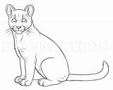 Lion Mountain Coloring Drawing Pages Puma Cougar Draw Outline Cougars Drawings Color Baby Step Cub Only Dragoart Popular Getdrawings Coloringhome sketch template