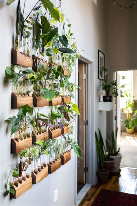 brilliant ways  decorate  plants apartment therapy