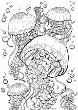 Jellyfish sketch template