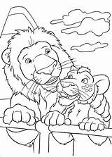 Coloring Wild Pages Ryan Brothers Samson Kratt Kratts His Wolf Lions Color Disney Coloringpages1001 Print Cage Getcolorings Template sketch template