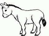Burro Animales Ane Granja Donkey Asno Burros Imprimer Riscos Cavalos Caballo Pesebres Visitar Longitud Tiernos Imprimé Fois sketch template