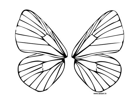 butterfly wings coloring pages  getdrawings