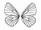 Wings Coloring Fairy Butterfly Pages Wing Printable Drawing Outline Template Thedrawbot Colour Colouring Getdrawings Angel Color Draw Sketch Choose Board sketch template