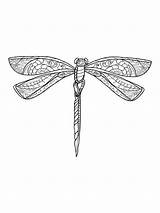 Pages Coloring Dragonfly Zentangle Adults Printable Bright Teens Colors Favorite Choose Color sketch template