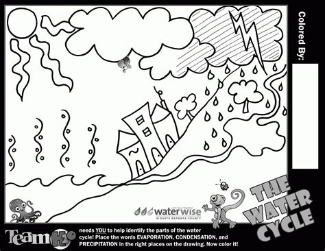 water cycle  kids coloring page coloring home