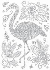 Flamingo Coloring Pages Adult Adults Zentangle Flamingos Card Coloriage Mandala Printable Mycoloring Choose Board Bird Colouring Rose Color sketch template